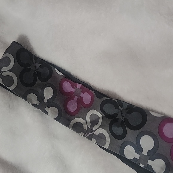 Coach Bag Scarf *callout* - Picture 3 of 7